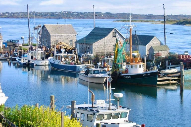 Harbor Boats - Dreamy Blues